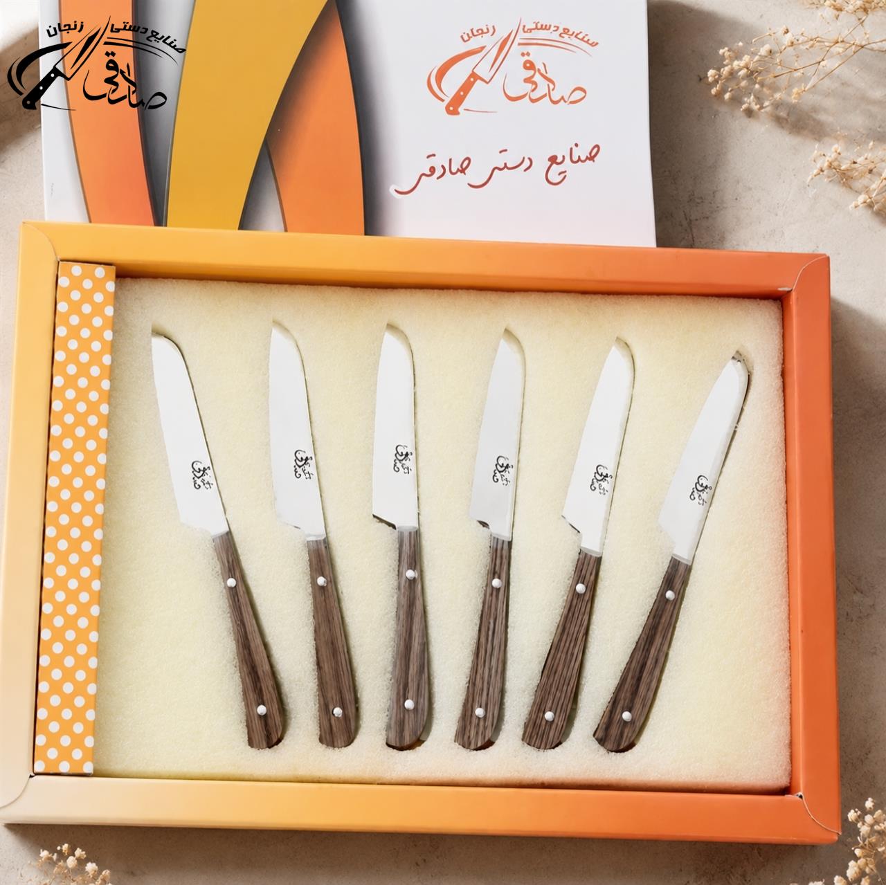 تصویر شماره 1